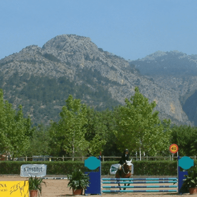 son-molina-horse-riding-lessons son-molina-horse-riding-lessons